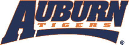 Auburn Tigers 1998-2003 Wordmark Logo v2 diy fabric transfer